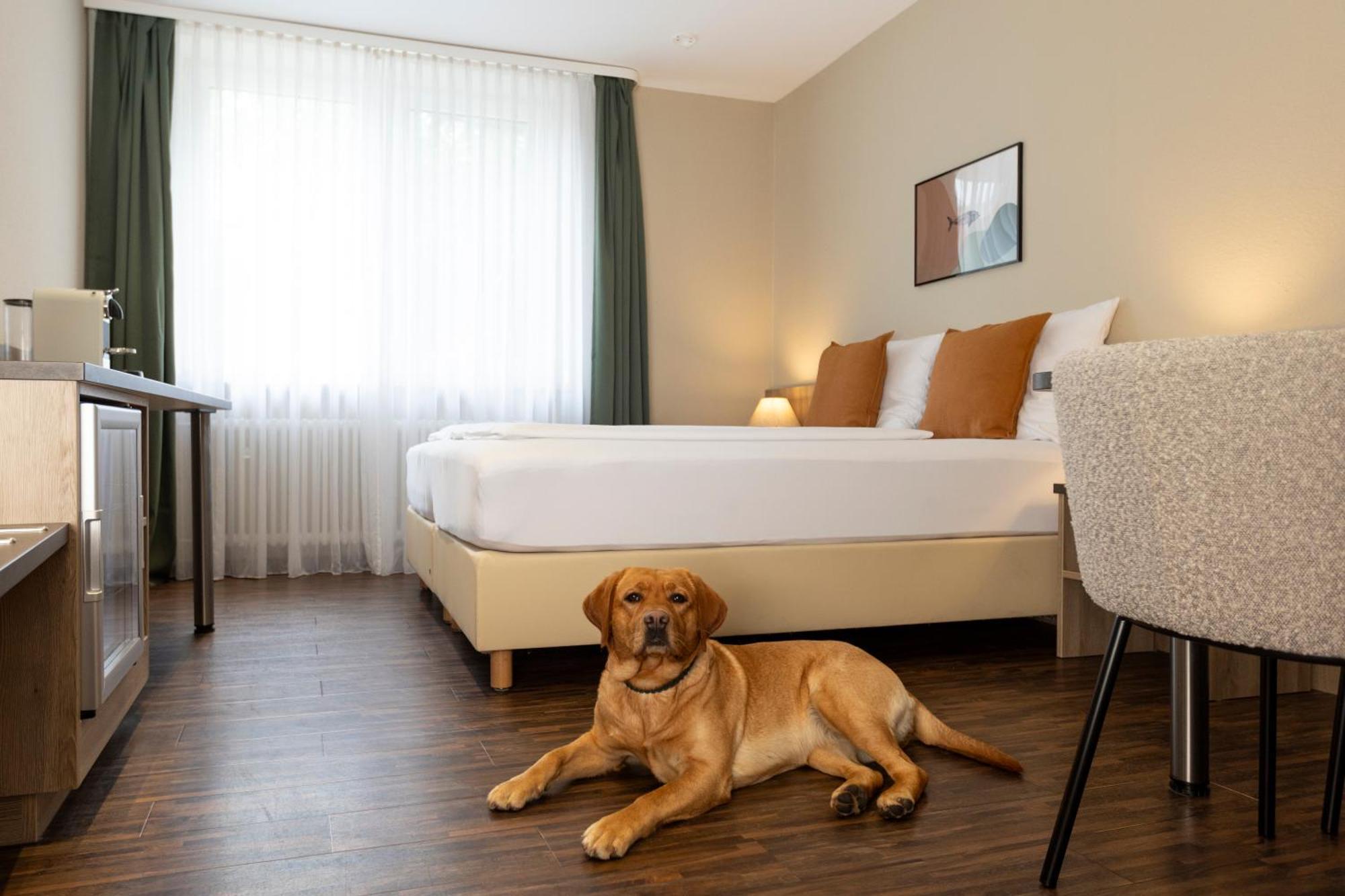 Hotel Fischzucht 3*